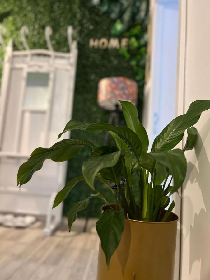Sweet Home Apartament Predeal Exterior photo